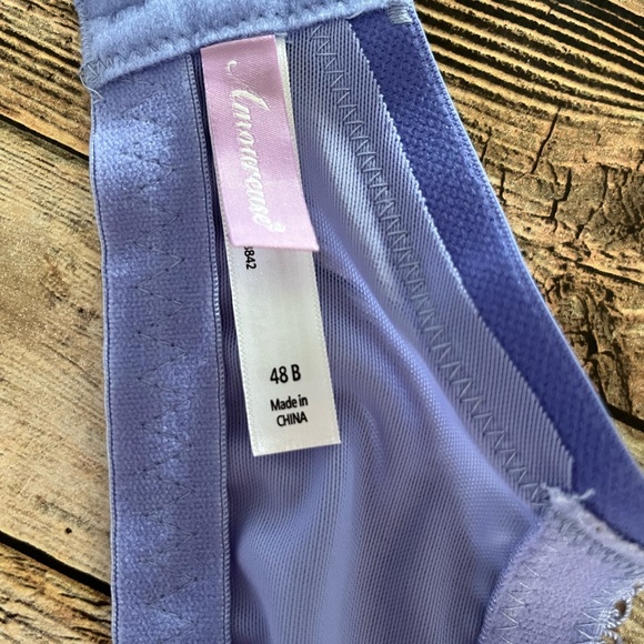 AMOUREUSE Women's Plus Size Underwire Lace Bra Size 48B Lavender - Picture 10 of 11